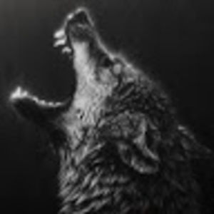 Meet your Posher, Wiley